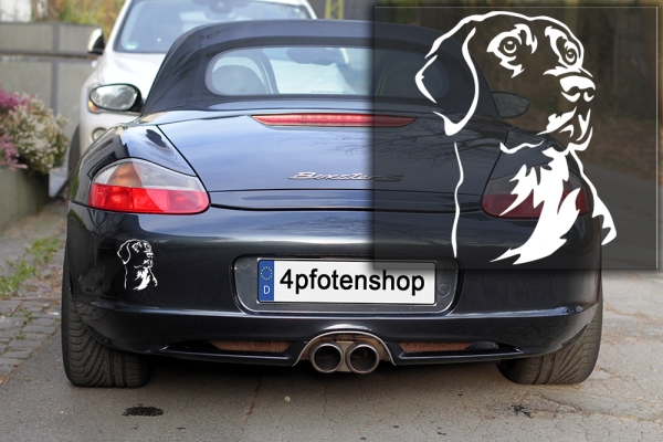 Autoaufkleber "Labrador" Kopf