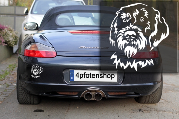 Autoaufkleber "Cesky Fousek"  (Böhmisch Rauhbart) Kopf