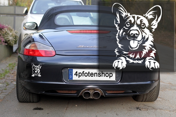 Autoaufkleber "Welsh Corgi" Kopf