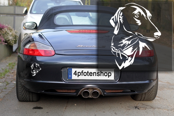 Autoaufkleber "Azawakh" Kopf