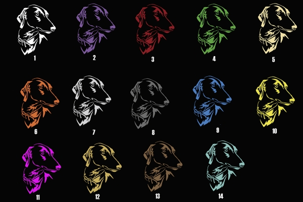 Autoaufkleber "Azawakh" Kopf