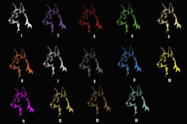Autoaufkleber "Xoloitzcuintle" Kopf