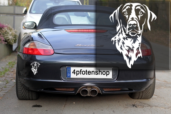 Autoaufkleber "Deutsch Kurzhaar" Kopf