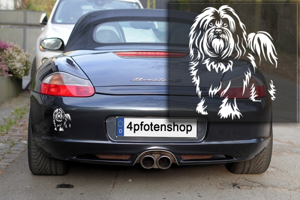 Autoaufkleber "Havaneser" Kontur