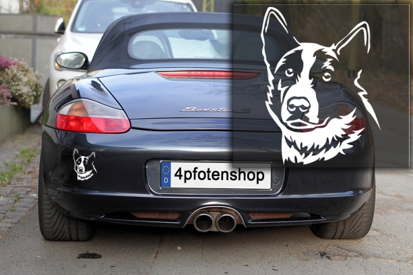 Autoaufkleber "Karelischer Bärenhund" Kopf