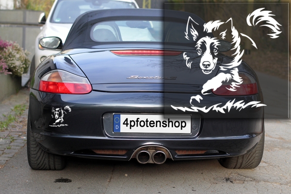 Autoaufkleber "Border Collie" Kontur