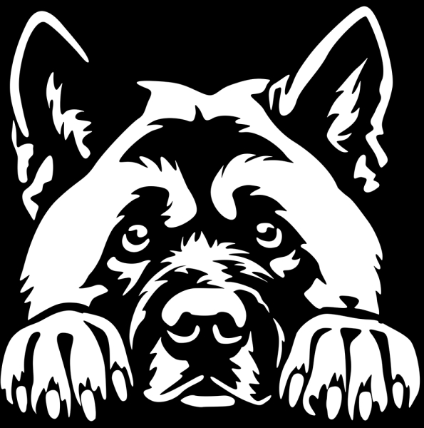 Aufkleber American Akita Kopf