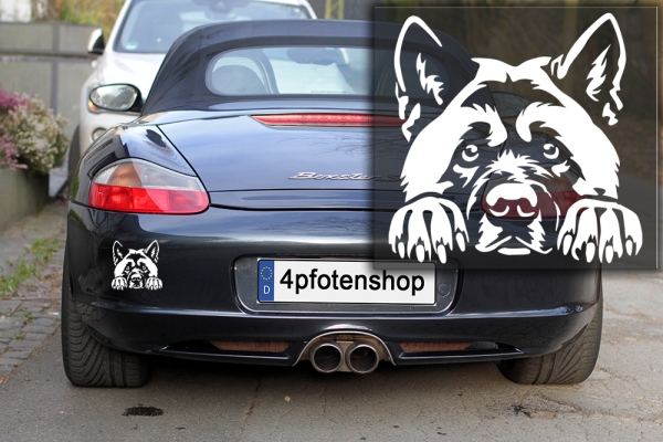 Autoaufkleber "American Akita" Kopf