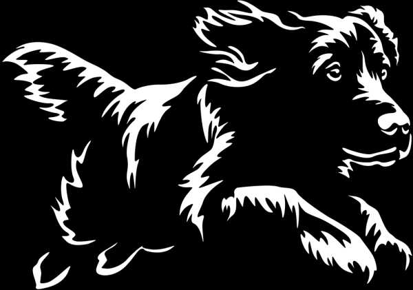 Aufkleber Boykin Spaniel