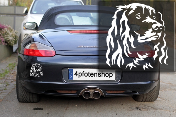 Autoaufkleber "Deutscher Wachtelhund" Kopf