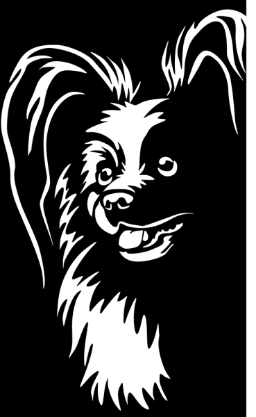 Aufkleber Papillon Kopf