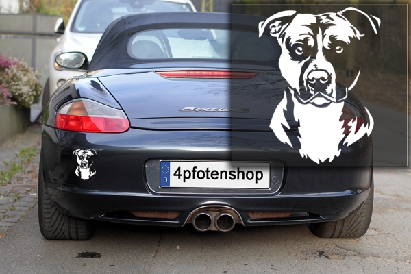 Autoaufkleber "American Staffordshire Terrier" Kopf