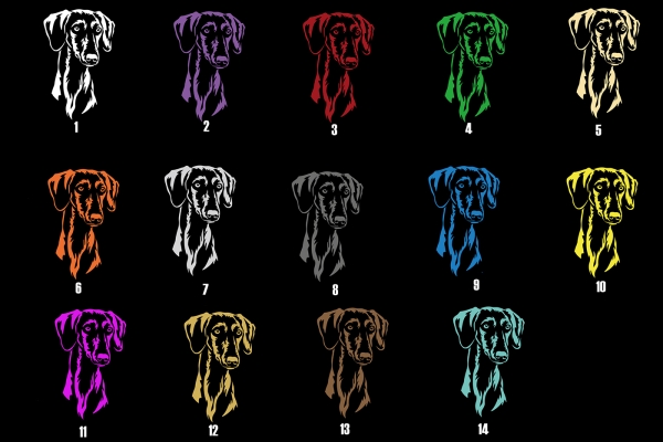 Autoaufkleber "Saluki (Kurzhaar)" Kopf