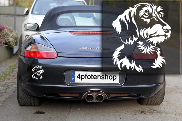 Autoaufkleber "Dackel (Rauhaar)" Kopf