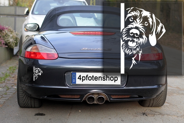 Autoaufkleber "Deutsch Drahthaar" Kopf