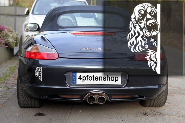 Autoaufkleber "Englischer Cocker Spaniel" Kopf