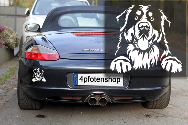 Autoaufkleber "Berner Sennenhund" Kopf
