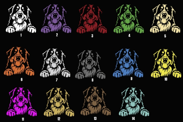 Autoaufkleber "Berner Sennenhund" Kopf