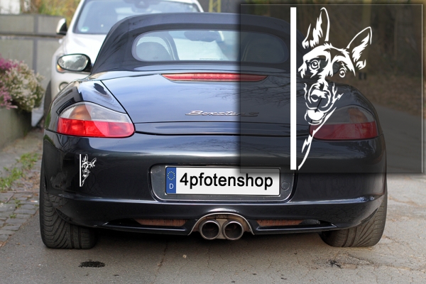Autoaufkleber "Malinois" Kopf