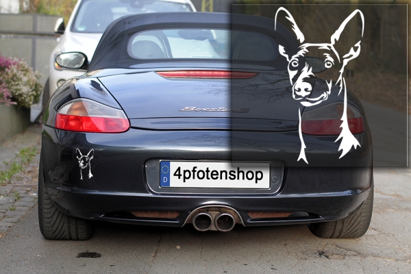 Autoaufkleber "Cirneco d'ell Etna" Kopf