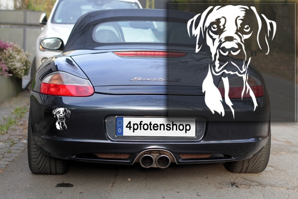 Autoaufkleber "Rhodesian Ridgeback" Kopf