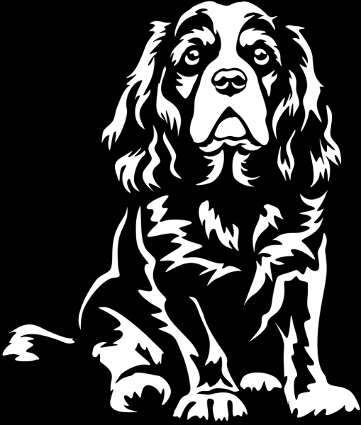 Autoaufkleber "Cavalier King Charles Spaniel" Kontur