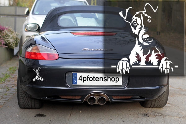 Autoaufkleber "Foxterrier" (Glatthaar) Kopf