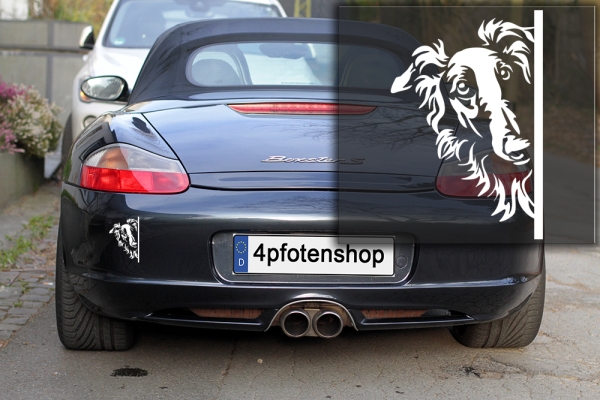 Autoaufkleber "Barsoi" Kopf