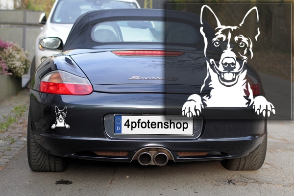 Autoaufkleber "Basenji" Kopf