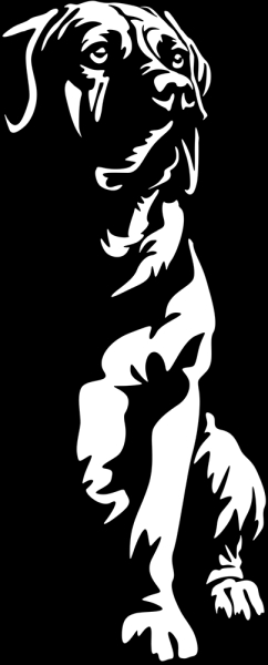 Aufkleber Boerboel