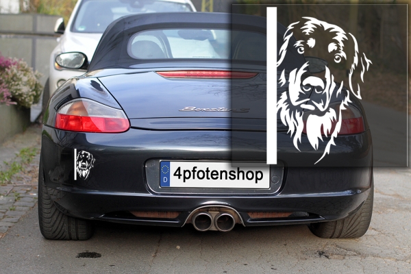 Autoaufkleber "Hovawart" Kopf
