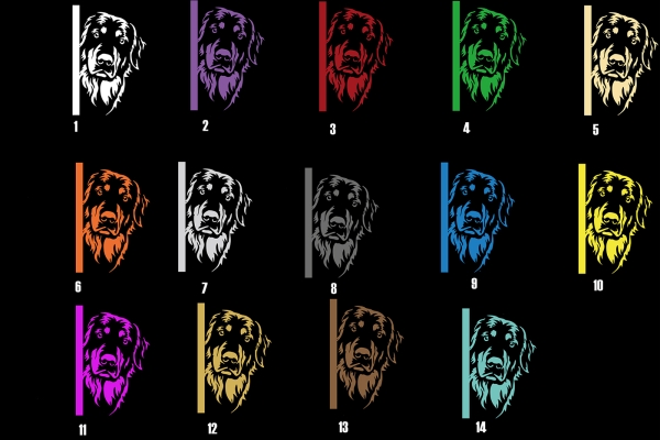 Autoaufkleber "Hovawart" Kopf