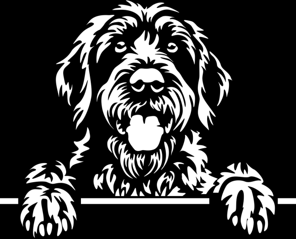 Aufkleber Deutsch Drahthaar Kopf