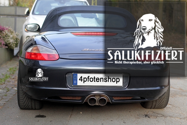 Aufkleber Saluki "Salukifiziert"