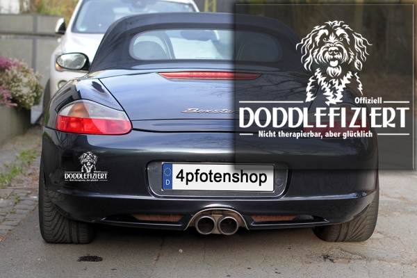 Aufkleber Berndoodle "Doodlefiziert"