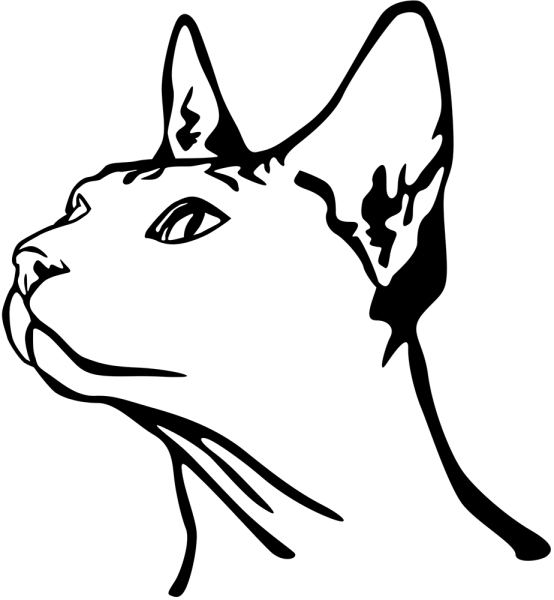 Aufkleber Sphynx