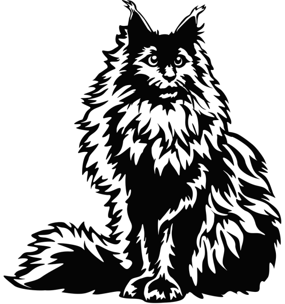 Aufkleber Maine Coon