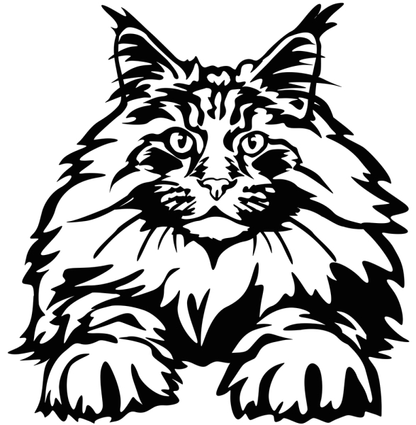 Aufkleber Maine Coon