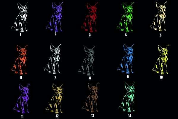 Katzenaufkleber Sphynx