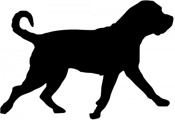 Presa Canario Silhouette