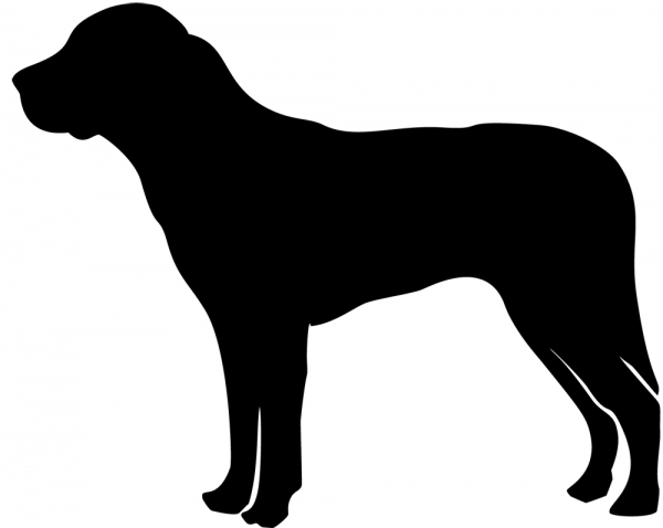 Großer Schweizer Sennenhund Silhouette