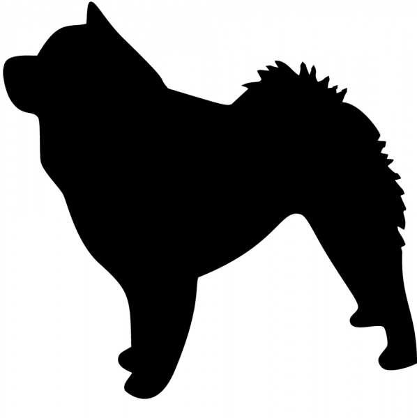 Chow Chow stehend Silhouette