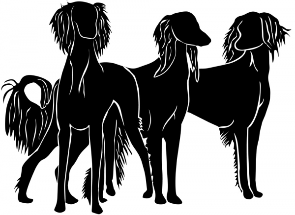 Aufkleber Saluki stehend Silhouette