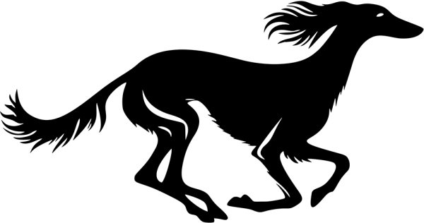 Saluki stehend Silhouette