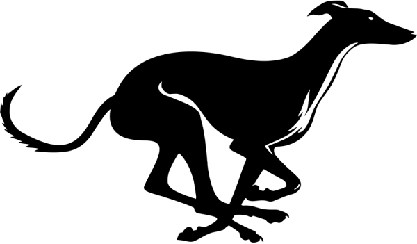 Greyhound stehend Silhouette