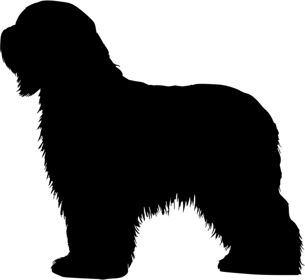 Briard stehend Silhouette
