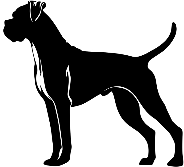 Boxer stehend Silhouette