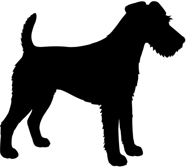 Foxterrier stehend Silhouette