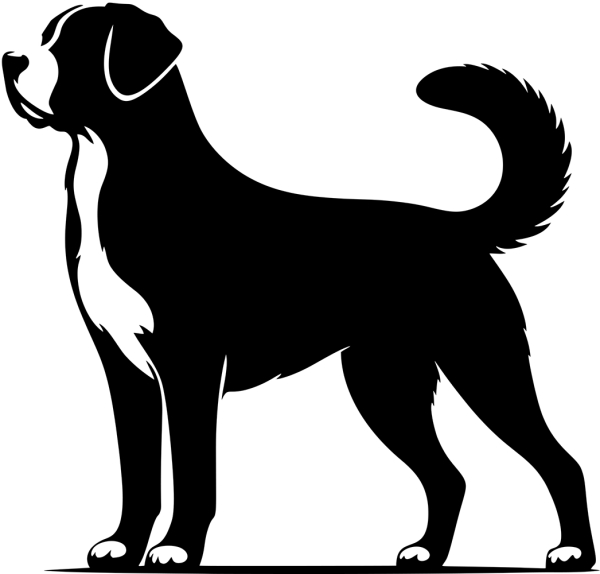 Aufkleber Großer Schweizer Sennenhund