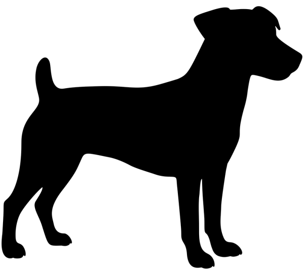 Jack Russell Terrier stehend Silhouette